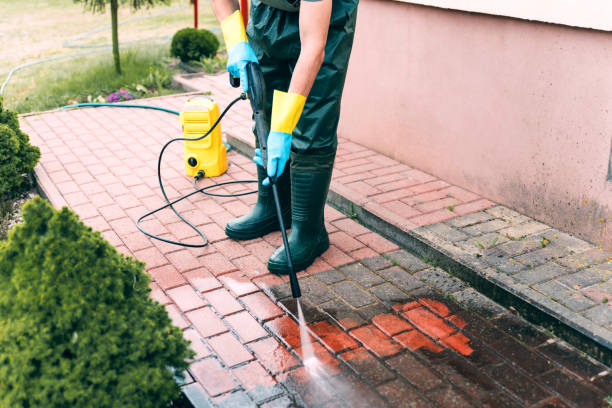 Best Driveway Pressure Washing  in Seneca Knolls, NY